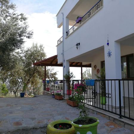 לינה וארוחת בוקר קוצ'וקויו Kaymak Tepesi Tatil Evi מראה חיצוני תמונה