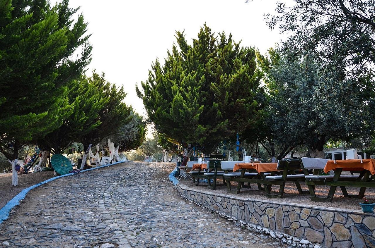 לינה וארוחת בוקר קוצ'וקויו Kaymak Tepesi Tatil Evi מראה חיצוני תמונה