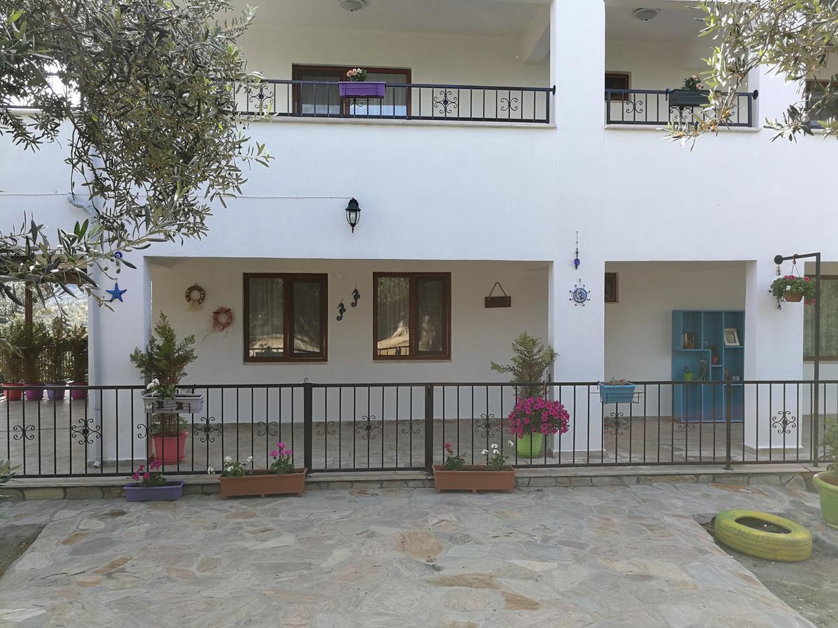 לינה וארוחת בוקר קוצ'וקויו Kaymak Tepesi Tatil Evi מראה חיצוני תמונה