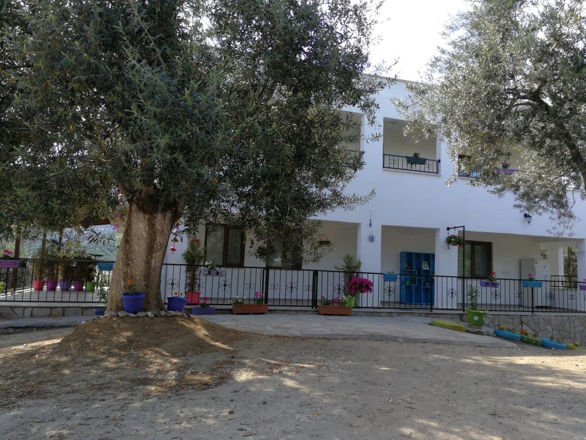לינה וארוחת בוקר קוצ'וקויו Kaymak Tepesi Tatil Evi מראה חיצוני תמונה